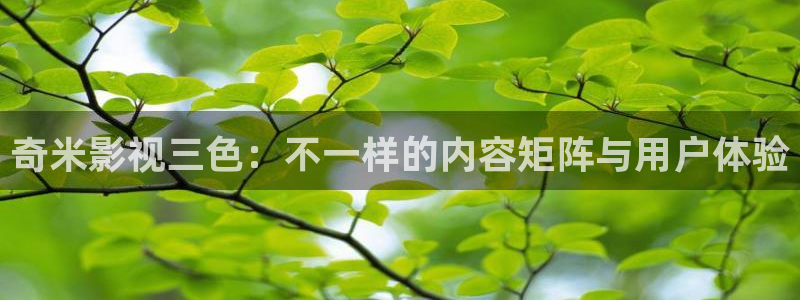 17c的网站蓝莓视频