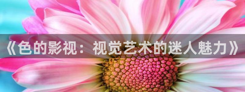 蓝莓视频免费版