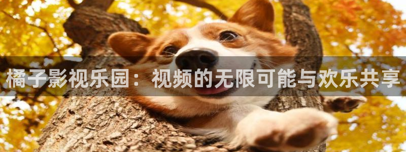 康司臣蓝莓叶黄素酯片是真的吗