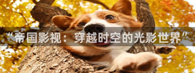 蓝莓视频免费下载