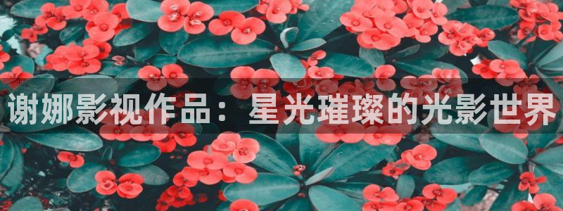 蓝莓网站视频